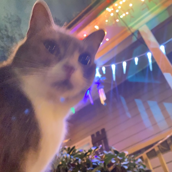 Meet your Posher, Meli! - Picture 10 of 13